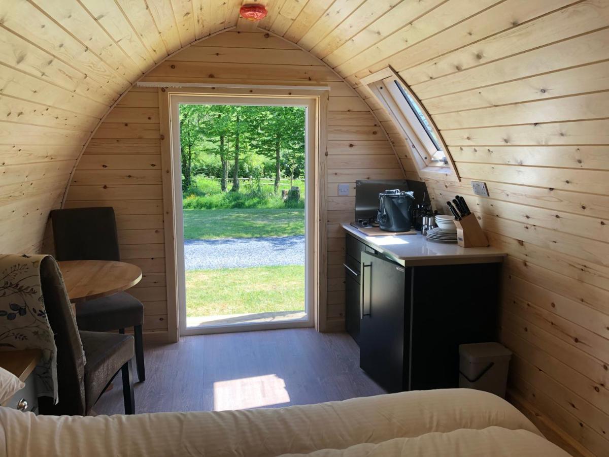 Camping Scallow *
